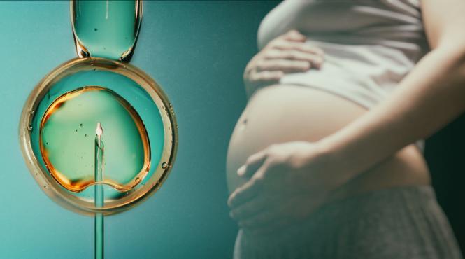 copii fertilizare eprubeta global