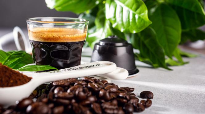 beneficii capcane zat de cafea ingrijirea plantelor gradina