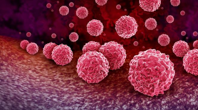 cercetatorii super molecula lovire simultana doua gene cancer