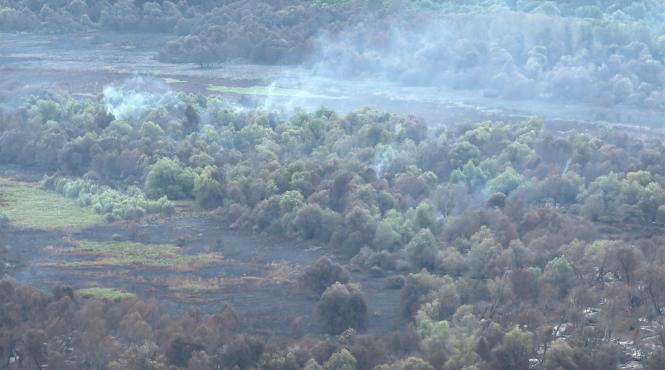 incendiu delta dunarii zona ostrov tataru chilia veche tulcea