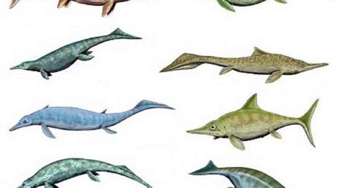 pradator preistoric fantoma ihtiozaur urias