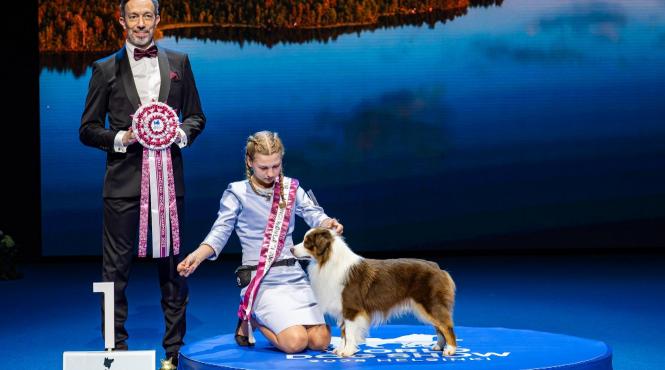 campionat mondial canin romanca cainele stralucesc helsinki