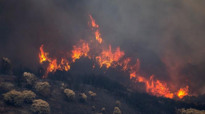 avertizare grecia incendii vegetatie