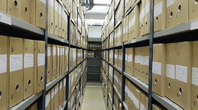 austerite primarie dominic fritz arhiva