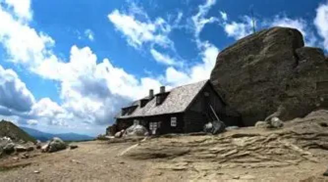 babele cabana vanzare