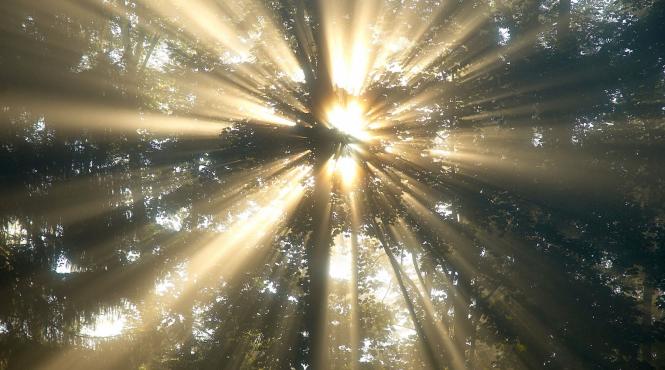 ce spune o femeie dupa revenirea din moarte clinica