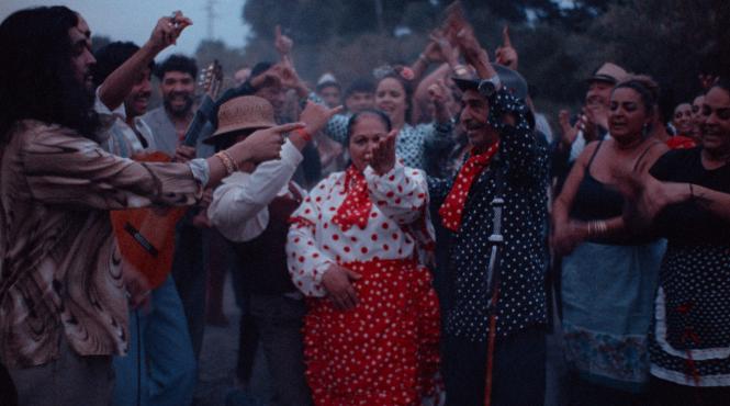 bucharest international dance film festival 11 transforma bucurestiul in capitala filmului de dans si a artelor performative