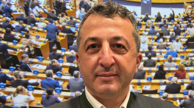 jean visan director interimar romsilva