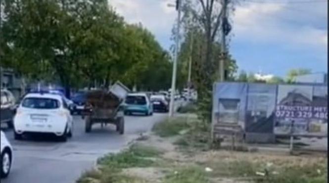 decizie inedita localitate romania carutele trebuie toalete portabile