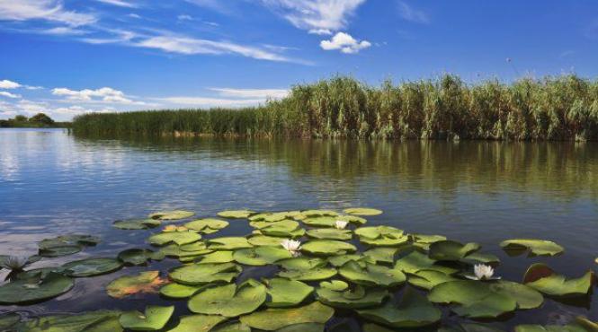 delta dunarii colaps ecologic lucrarile dragare partea ucraineana afecteaza grav ecosistemul