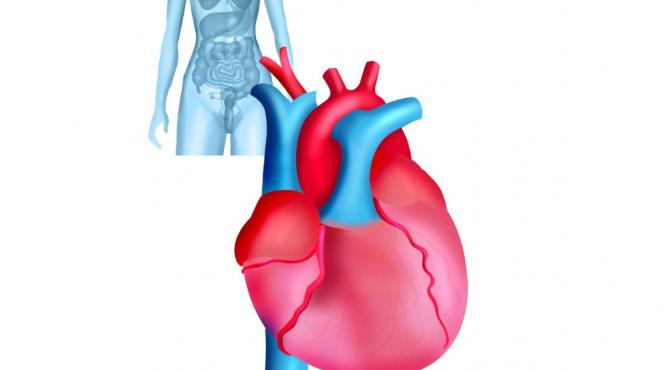 beta blocante medicamente inima infarct femei ineficient