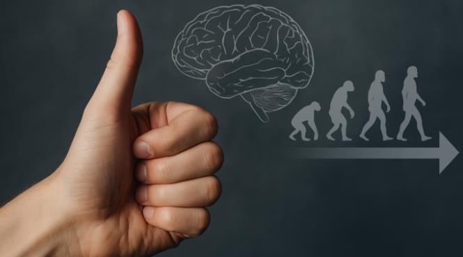 vrei sa stii cat de destept e cineva uita te la maini