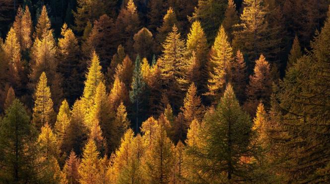 toamna cu note de vara septembrie 2025 aduce zile calduroase in romania