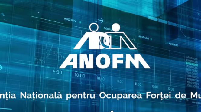 curtea conturi anofm raportari eronate subevaluarea patrimoniului plati nelegale asistenta sociala