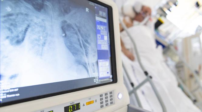 doctorita pneumolog din timis retinuta pentru luare de mita