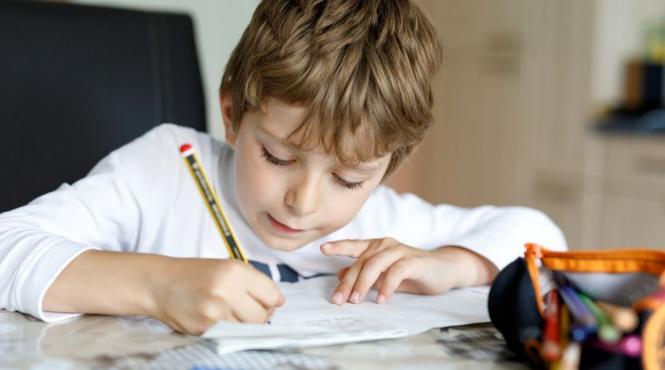 haos educatie noi reguli evaluari nationale elevi cadre didactice