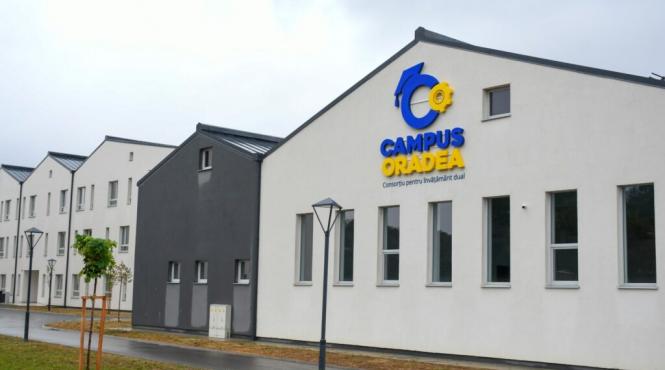 invatamantul dual ligia deca ilie bolojan insucces