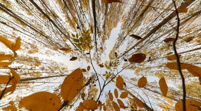 surpriza meteo a toamnei cat mai tine vremea calda