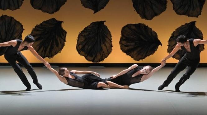 aplauze pentru anotimpurile the seasons in cadrul festivalului international george enescu