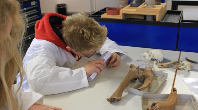 copii arheologie cursuri patrimoniu cultural