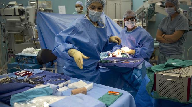 organe transplant brasov