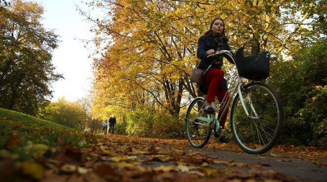 prognoza urmatoarele 4 saptamani instalare toamna