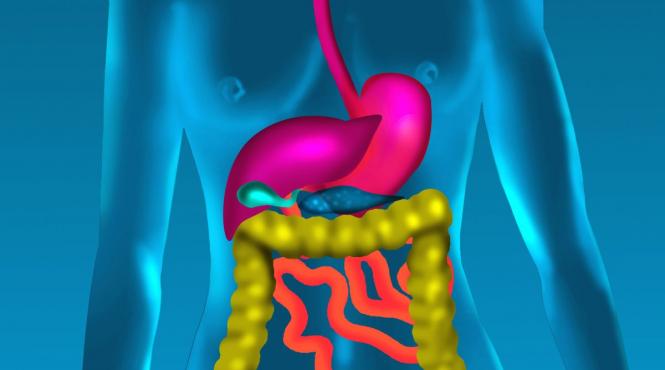 microbii intestinali ficatul gras cancerul hepatic tratament
