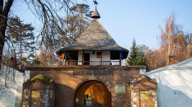 golescu origine slava