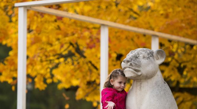 horoscop septembrie 2025 bani succes