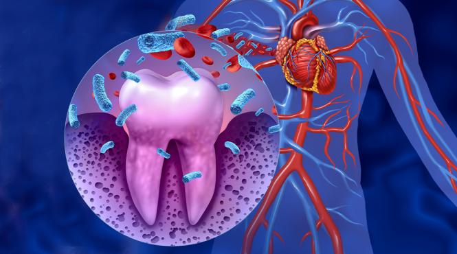 renuntare obicei zilnic triplare risc cancer pancreatic