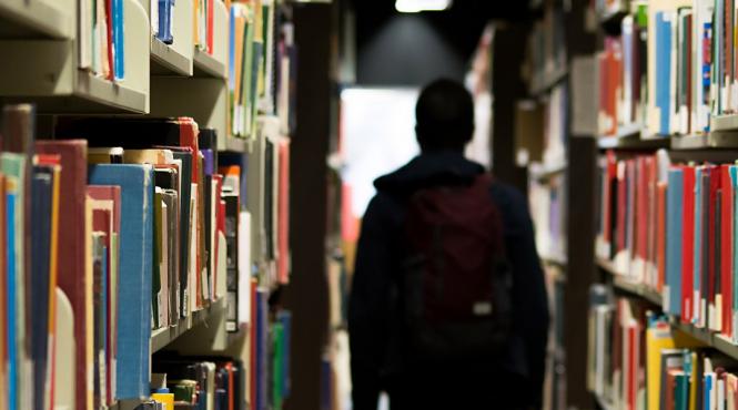 guvern bani buget salariul minim pe economie