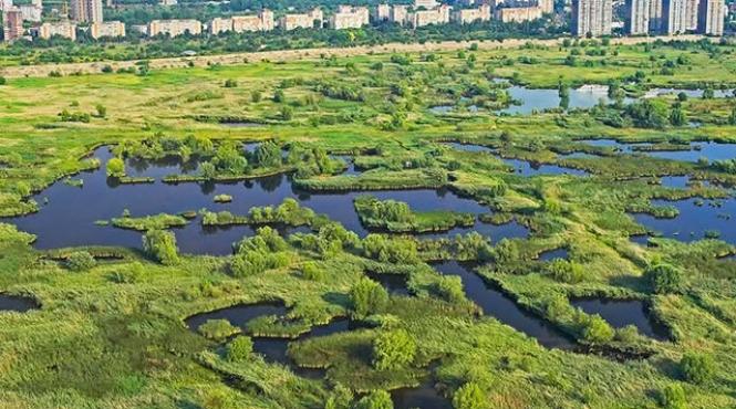 ministrul mediului delta vacaresti legea aplicare consecinte imediate si dure