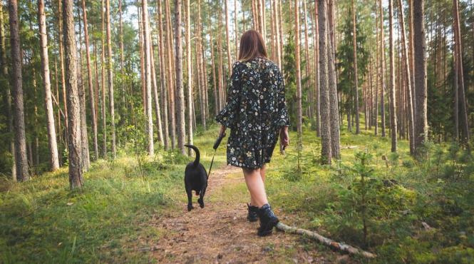 activitate fizica inteligenta beneficii neasteptate zona zero sanatate