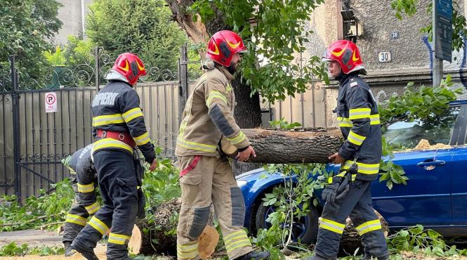 cod portocaliu bucuresti persoana ranita masini avariate