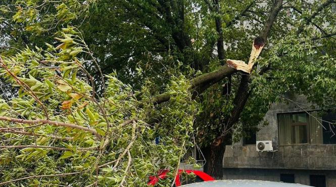 copaci cazuti masini mers bucuresti victima spital