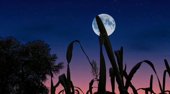 horoscopul lunii pline recoltei 6 octombrie