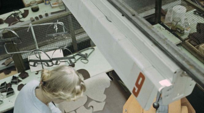 imm antreprenori business