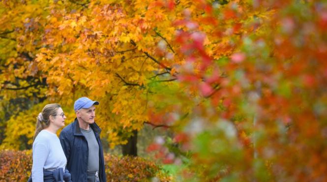 horoscop toamna 2025 zodiac energia sezonului noroc abundenta