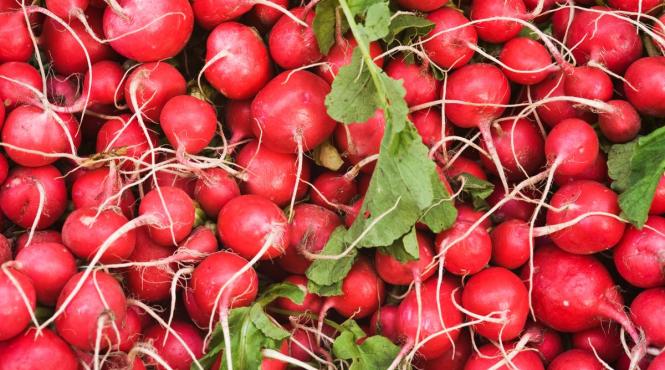 ingredient vindeca intestin reduce inflamatia frunze ridichi