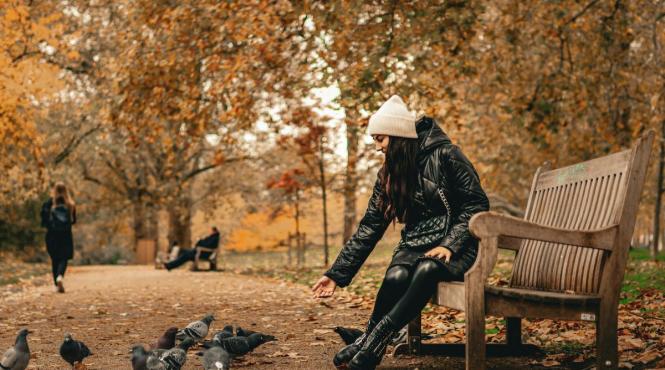 horoscop noiembrie 2025 luna transformarilor si a revelatiilor interioare