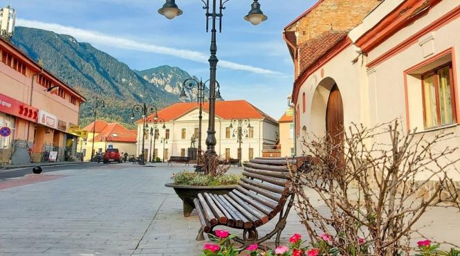 nume zarnesti termen targ de cereale