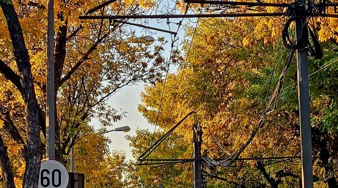 noiembrie vreme regiuni