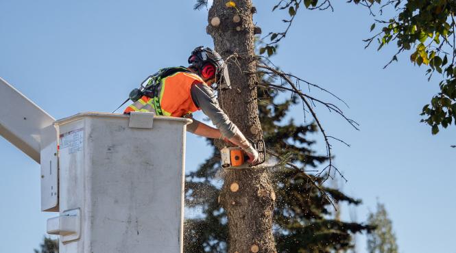 ion olteanu firme anchetat dna fonduri bugetare