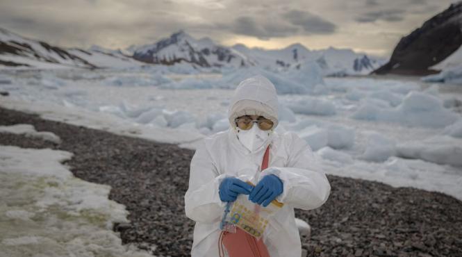 vrei job in antarctica intai trebuie sa ti scoti apendicele si molarii de minte