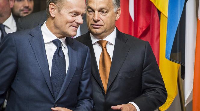 ungaria polonia obstacol aderare ucraina ue