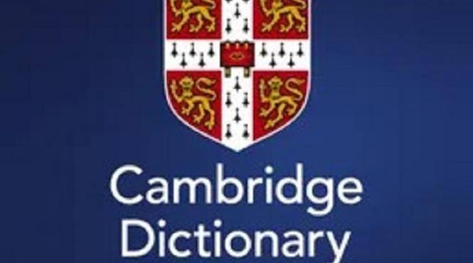 cambridge dictionary cuvantul anului 2025