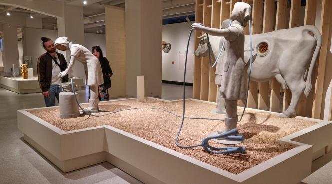 cultura conteaza 20 de proiecte remarcabile au traversat patru continente cu sprijinul icr prin programul cantemir 2025