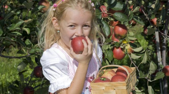 pomul fructifer fiecare luna nastere traditie moderna farmec aparte