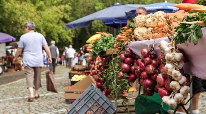 reguli noi piete volante agroalimentare