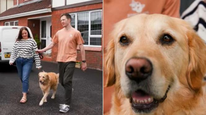 poveste emotionanta caine salvat stapanul moarte